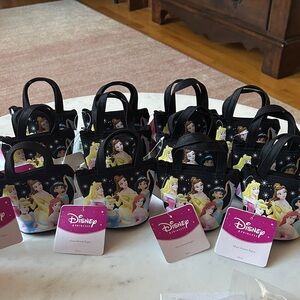 Disney Princess‎ Black and Colorful canvas mini Tote Set of 12